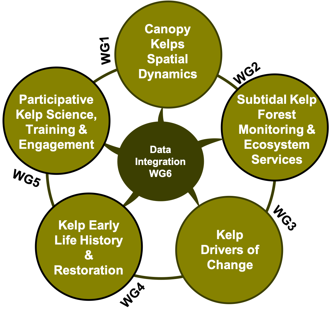 Working group graphic