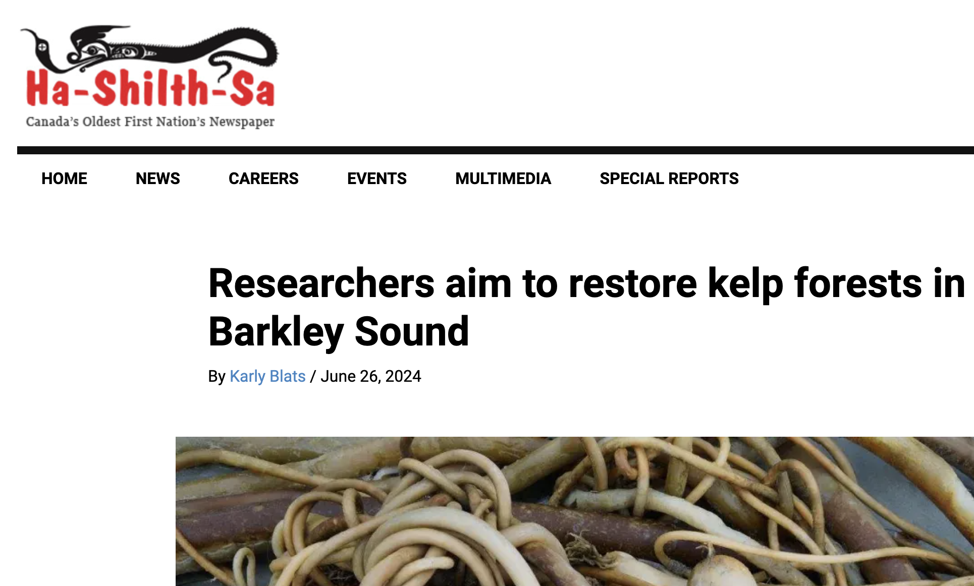 Kelp in the news - restoring kelp forests in Barkley Sound