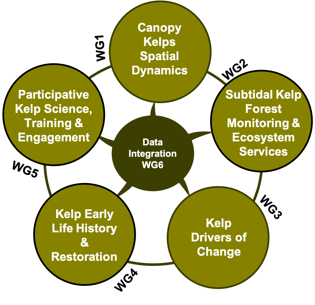 Working Groups